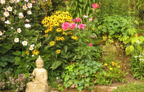 Blumen mit Buddha
