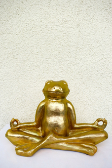 Frosch Meditation